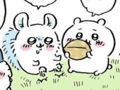 모몽가와 코코넛