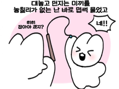 몬냥 관찰일기 -002