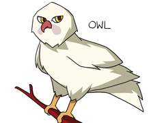 Journey of the Broken Circle 의 Owl