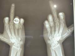 헐 도쿄고전 진짜 야유회 가요?