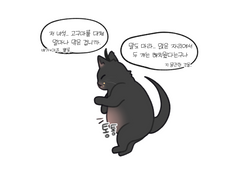 고양이 청명 모음