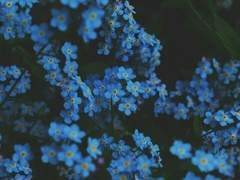 하나의 세계는 하나의 위로가 된다 1