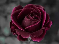 [미츠타케] 전남친 토스트