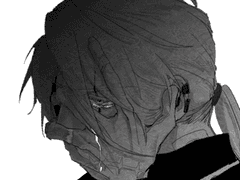 하인리히 버드 로그 下