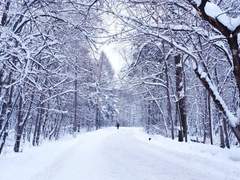 🐈‍⬛울 라드 과거 서사