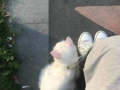 엔시티 나페스 추천 ( 네임버스 )