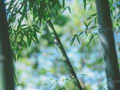 화산구1환 드림 문유 관계성