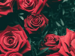 나는 나도 모르는 거짓말을 너에게 하고 있다.