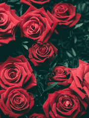 나도 모르는 거짓말을 너에게 하고있어