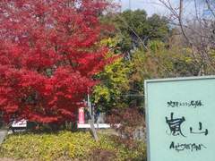 [DAY 233, 234, 235, 236] 교토 2탄, 일본어 능력 시험