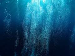 창천 아쿠아리움 근무 지침서