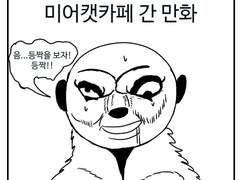 미어캣카페 간 만