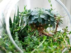 멤버십을 열었습니다.. + 혜택 소개