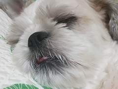 무지개다리 밑에서