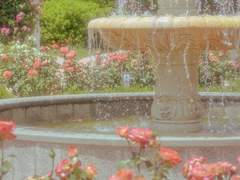 가볍게 로판물을 써보자 +