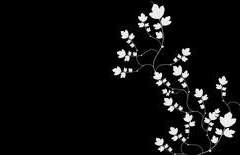 화피 :: 畫皮 . 一