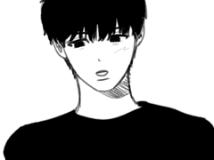 회색고양이이슈