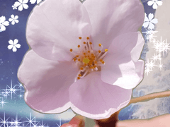 소 악마라도 상관없어 - 메이쨩