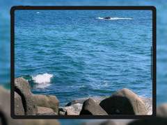 [무료 배경화면] 바다라는 축복 (ipad ver.)