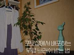 Phtoshop Brush 무료 다운로드 팁_Kyle T. Webster