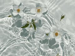 그대 고운 내 사랑_IF