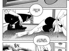 개와늑대의시간