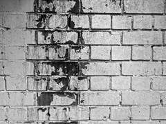 부정할 수 없는 것