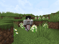 화산귀환 쌍존, 신룡 마크 스킨