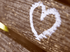 러브 앤 라이크 . 1