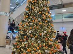 제귤이의 땅: 제주 여행 1