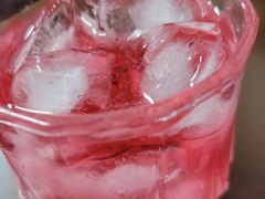 공작가의 흑막의 영애님: 집안의 비밀