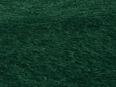 엑스트라 부밀레