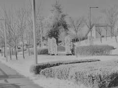 항해-팔 돌리기 운동