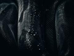 뱀이 자신의 꼬리를 삼키듯이