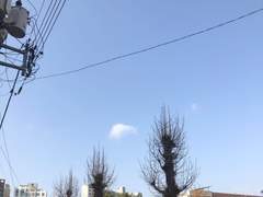 사랑니를 뺐지만 달린다