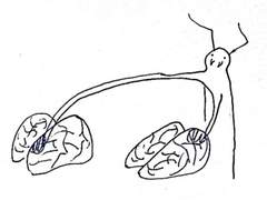 3화. 작품 주요 컨셉에 연계된 학문적 분야 연구