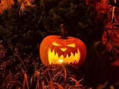 🎃Halloween 2023🍬