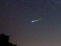 멜리사 테리 | XX | 래번클로 | 순혈 |5학년