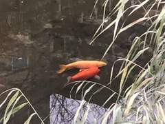 주말을 인지하다