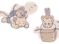 사자켄쿼카쏜(요청도안)