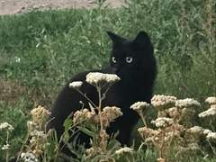 나처럼 완벽한 동생이 어딨어?