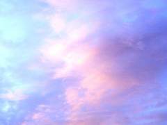 머리카락 한 올까지