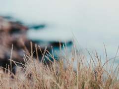 양호열은 다중우주의 꿈을 꾸는가+