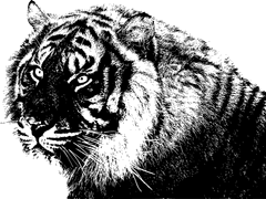 호랑이 굴에 들어가도 정신만 차리면 산다 上