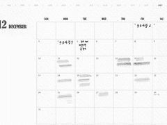 12월 공지사항🤍