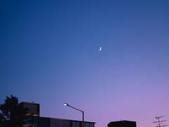 내 청춘을 너와 함께 보내고 싶어.