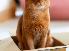 [GL] 어느날 룸메이트에게 감금 되었다-3