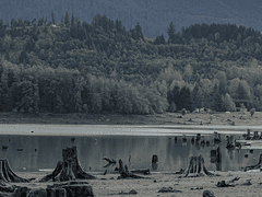 1. 안녕하세요(1)