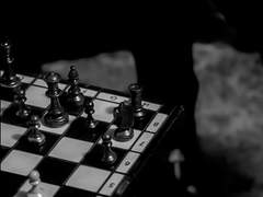 눈이 마주쳤다.