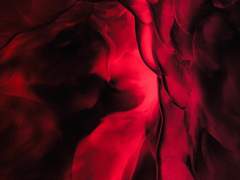 ℂ𝕠𝕢𝕦𝕖𝕝𝕚𝕔𝕠𝕥 ℂ𝕠𝕔𝕠 ❦